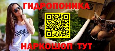 гидра Аргун