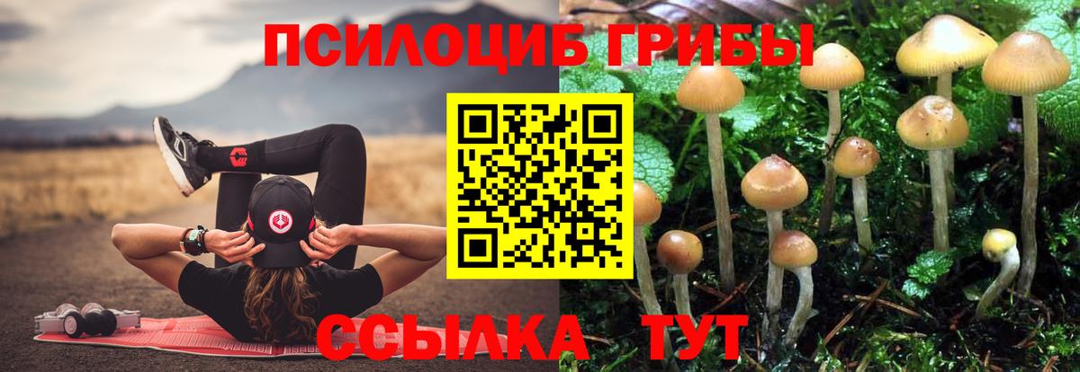Галлюциногенные грибы Magic Shrooms  Вход с VPN  Ачхой-Мартан 
